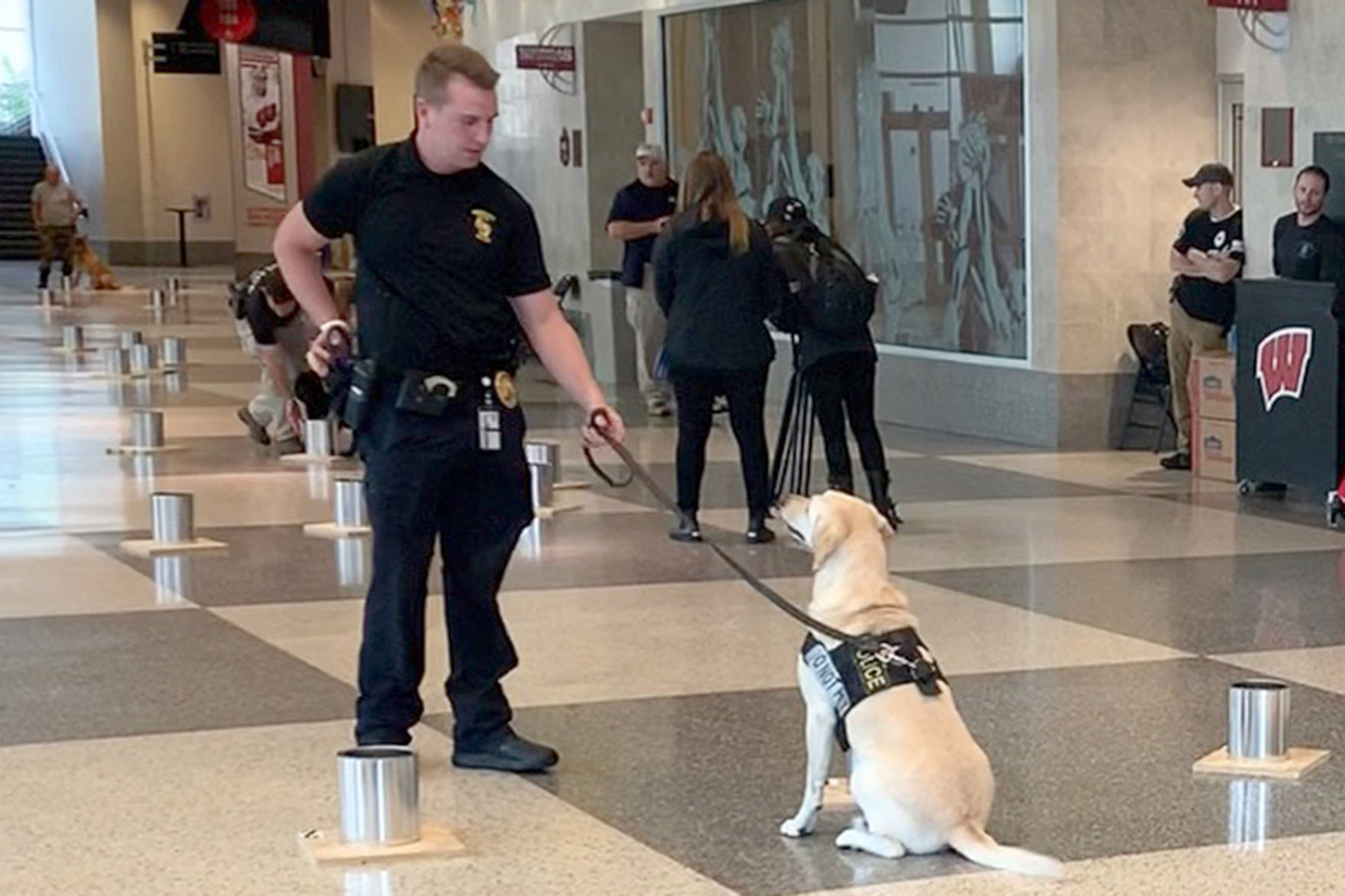 Dog training
